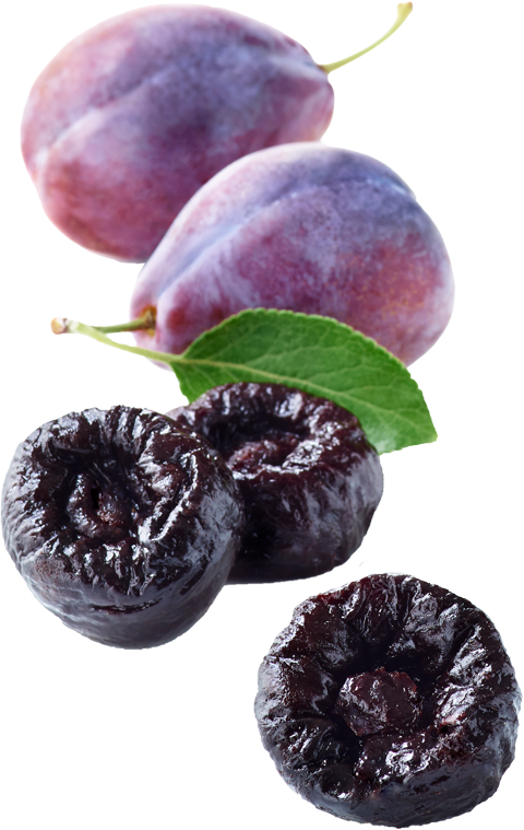 Sunsweet Growers Store. Plumsweets Dark Chocolate Covered Prunes - Sunsweet  Growers